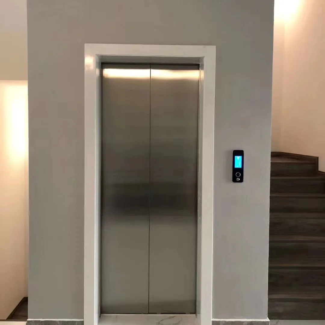 Fuji 320-400kg Fuji Home Aufzugs system Indoor Home Lift