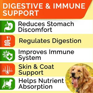 OEM 3 en 1 chien probiotique aide à mâcher santé digestive et soulage <span class=keywords><strong>la</strong></span> <span class=keywords><strong>diarrhée</strong></span> traitement probiotique <span class=keywords><strong>pour</strong></span> chiens arrêter de ne pas manger de selles - Product Image 3