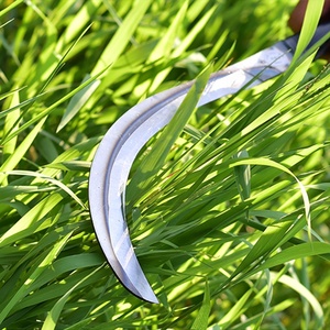 Utensili da taglio a falce lunghe <span class=keywords><strong>con</strong></span> taglio a base di erba per attrezzi da giardino <span class=keywords><strong>con</strong></span> impugnatura lunga falce - Product Image 5