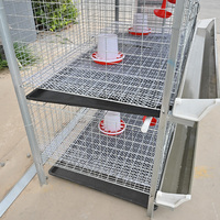 Nouvelle cage à poulets de chair de type H pour poussins, système d'élevage de poulets à manivelle avec fonctions de nettoyage du fumier