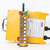 Télécommande sans fil pour palan électrique à double vitesse Telecrane F24-16D 433 MHz 12 VDC 12 touches, certification CE RoHS FCC