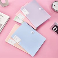 Carpeta Transparente Multicapa A4 con Insertos para Almacenamiento de Exámenes Escolares, Carpeta de Hojas Sueltas Morandi para Contratos