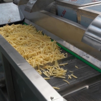 Industriële Nieuwe Bevroren Frietjes Aardappelchips Verwerkingslijn Frituurmachines
