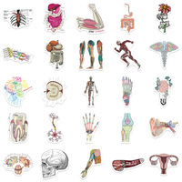 50 Pegatinas de Anatomía Humana - Guía de Aprendizaje de Órganos para Estudiantes de Medicina, Calcomanías Removibles Resistentes al Agua y a los Rayos UV