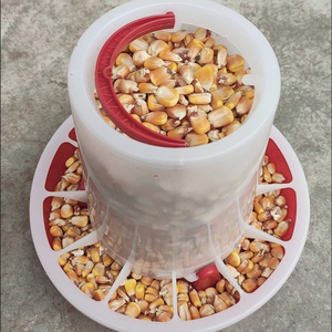 Comedero de Pollo de Plástico de Múltiples Capacidades, Venta Caliente de Fábrica - Product Image 1