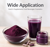 Poudre d'extrait de baie de sureau (Rowan Berry Extract Powder) 10:1, extrait de Sorbus Aucuparia, poudre de baie de sureau, ingrédient de complément alimentaire, vente en gros