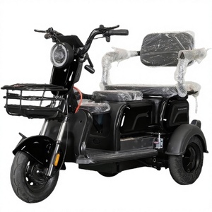 Triciclo Eléctrico de 3 Plazas con Certificación <span class=keywords><strong>EEC</strong></span>/DOT, 48V/60V 1000W, con Toldo de Acero, para Familias y Adultos, Compatible con OEM/ODM, Directo de Fábrica - Product Image 1