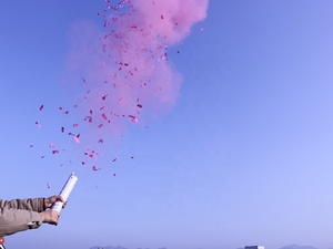 Ensemble de révélation de sexe de bébé <span class=keywords><strong>surprise</strong></span> garçon ou fille, décorations de fête, canon à fumée pour révélation de sexe, paquet pour fête de révélation de sexe - Product Image 3