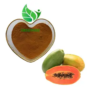 Haute qualité 100% Nature papaye extrait poudre poudre d'amélioration du sein