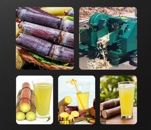 Thương mại mía Máy Nghiền DIESEL mía máy nước trái cây mía xay xát mía vắt nước trái cây - Product Image 6