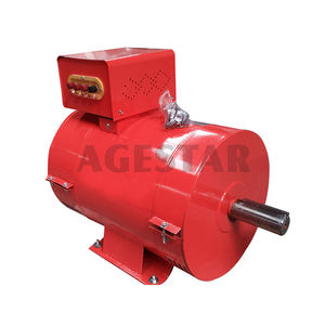 Ventes directes d'usine 15kw Alternateur AC brossé <span class=keywords><strong>Recrutement</strong></span> d'agent mondial d'enroulement de cuivre pur - Product Image 2