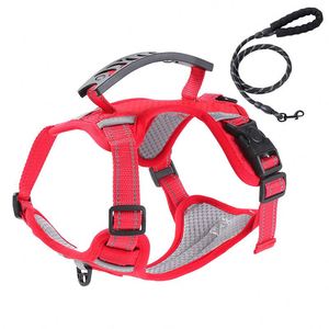 Harnais de poitrine pour chien en maille de haute qualité, réglable, anti-traction, pour chiens de petite et moyenne taille, par Best Pet Supplies - Product Image 6