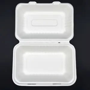 Biologisch abbaubarer Salat Zuckerrohr Bagasse Clam shell Einweg-Bagasse-Lebensmittel behälter