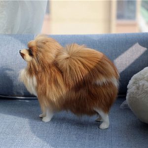 Modèle d'animal de simulation de haute qualité personnalisé, modèle de <span class=keywords><strong>chien</strong></span> pomeranian de simulation, jouets en <span class=keywords><strong>peluche</strong></span>, poupée de <span class=keywords><strong>chien</strong></span>, jouet en <span class=keywords><strong>peluche</strong></span>, cadeau pour enfants et adultes - Product Image 6