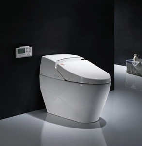 Самоочищающийся самоочищающийся унитаз - Product Image 2