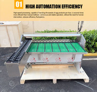Machine de tri et de calibrage d'œufs 5400 pièces/h, machine de calibrage d'œufs de capacité industrielle pour petites exploitations avicoles