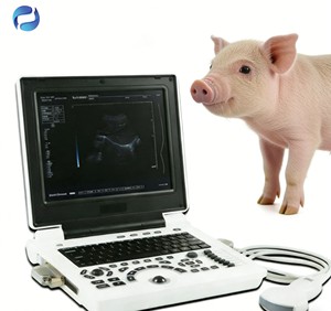 Draagbaar digitaal <span class=keywords><strong>Doppler</strong></span>-echoscopie systeem voor dierenartsen, kleuren-<span class=keywords><strong>Doppler</strong></span> bewakingsapparatuur - Product Image 1