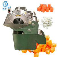 Automatische gemotoriseerde fruit- en groentesnijder (mango, raap, ui, kokosnoot, aardappel, pompoen) voor bakkerijen