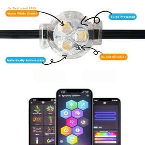 ไฟคริสต์มาส LED RGB กันน้ำ IP68 สำหรับขายส่ง ไฟประดับอัญมณีอเนกประสงค์สำหรับภายนอกอาคาร ของตกแต่งคริสต์มาสแบบติดตั้งถาวร - Product Image 2