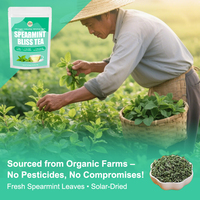 OEM Spearmint Bliss Tea Pure Spearmint Leaf Herbal Tea Soothe Digestion Calm Mind Invigorate Senses Daily Natural Body Care