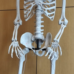 Decoración de Halloween para Exteriores, Esqueleto Gigante de 3 Metros con Ojos LED, Espeluznante y Terrorífico - Product Image 4