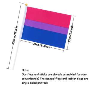 Venta caliente 100% poliéster LGBT lesbiana transgénero Bisexual mano bandera Arco Iris Gay orgullo mano bandera - Product Image 6