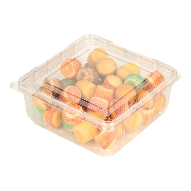 Wholesale Disposable Fast Food Take out