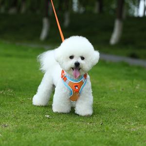 Arnés de correa para perro de moda, chaleco reflectante de patrón sólido para mascotas para perros pequeños y medianos para Teddy Bichon y Corgi, Material acolchado - Product Image 3