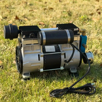 Pompa Aerator Kolam Ikan Portabel 1HP 6.0CFM 170LPM Pompa Udara Kolam Tenaga Surya Tanpa Oli Komponen Inti Mesin Sumber Udara/Gas
