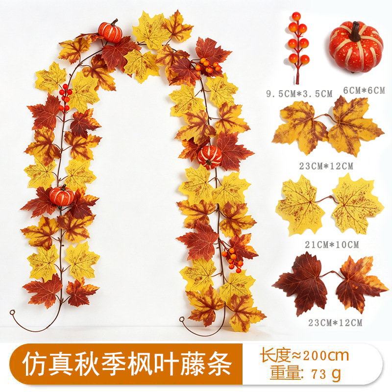 21 เถาเมเปิ้ลฤดูใบไม้ร่วง - K [2ม.]