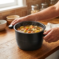 Cuisinière électrique multifonctionnelle 13-en-1 avec écran LCD numérique, commande à une touche, cuve intérieure antiadhésive avec poignée