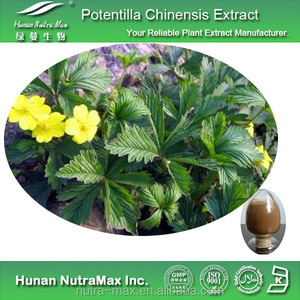 Meilleur Prix 10% Polysaccharides Pur Naturel <span class=keywords><strong>Potentilla</strong></span> Chinensis Extrait pour Santé Alimentaire - Product Image 2