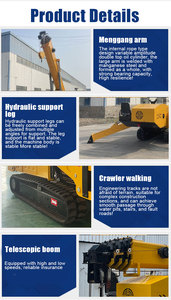 Mini Grúa Araña sobre Orugas de 3 Toneladas 3t 5 Toneladas 10 Toneladas Grúa Araña Eléctrica Telescópica en Venta - Product Image 5