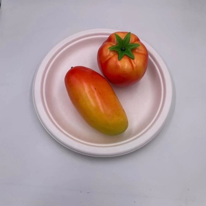 3-compartimento Color <span class=keywords><strong>restaurante</strong></span> <span class=keywords><strong>bagazo</strong></span> de materias primas - Product Image 5