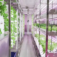 Système d'agriculture verticale hydroponique commerciale HydroBlue alimenté par l'IA, avec pompe centralisée, pour la protection de l'environnement et la culture de fraises
