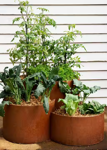 Vases de luxe modernes pour l'extérieur, grands bacs à plantes ronds en forme d'anneau, jardinières en acier Corten - Product Image 5