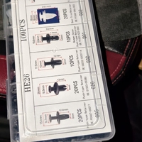 HE26 100 pièces Rivets de fixation pour pare-chocs et garnitures de portières de voiture