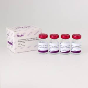 H5 Re-12 Antígeno de la gripe aviar HI | Certificado por La OIE para vacunas y serología | Pedidos a granel - Product Image 4