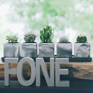 Mini <span class=keywords><strong>pot</strong></span> <span class=keywords><strong>de</strong></span> fleur carré moderne avec design simple, jardinière <span class=keywords><strong>de</strong></span> bureau pour salon, décor <span class=keywords><strong>de</strong></span> centre commercial, boîte en carton d'intérieur - Product Image 6