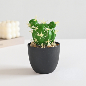 Mini <span class=keywords><strong>Cactus</strong></span> Artificial en Maceta, Planta Artificial en Recipiente de Plástico, Decoración de Oficina, Adornos Pequeños Creativos, Directo de Fábrica - Product Image 6