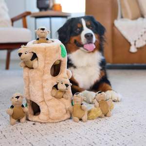 Il cane esteriore nasconde un giocattolo per cani di peluche Puzzle scoiattolo - Product Image 6