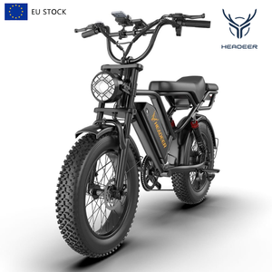 Vélo Électrique Vintage 2026 – Vélo Électrique 20 Pouces en Gros pour Hommes – 48V 20Ah Longue Portée – Vélo Électrique Rapide - Product Image 1