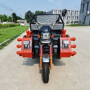 <strong>Trike</strong> All Terrain Fat Tyre Delivery Motorcycle <strong>Chinese</strong> <strong>Electric</strong> Mini Cargo Tricycle Car Price Three Wheels for Adults 1200W - Product Image 6