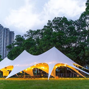 Campamento especial Wanzhong montaña impermeable cuatro estaciones cielo cortina Base grande tienda de ocho garras solo pico <span class=keywords><strong>Twin</strong></span> Peaks Tres Picos - Product Image 5