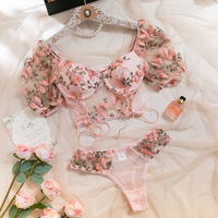 Ensemble de lingerie sexy pour femmes avec broderie papillon, manches bouffantes, transparent, décolleté, motif floral rose, style Spice Girl, vente en gros, OEM personnalisé