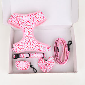 Arnês de Design para Cães Greyhound com Estampa de Verão e Logo Personalizado Acessórios para Animais de Estimação Coleiras e Guias Anti-Puxão - Product Image 1