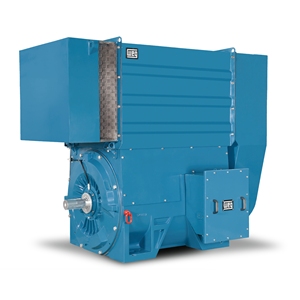 Weg W60 Three-Phase Induction Motor High Quality Cast <b>Iron</b> High Voltage Motor W60 IP23 Pumps Motor High Voltage Motor High - Product Image 2