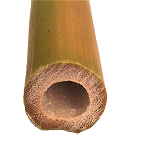 Canne droite naturelle en <span class=keywords><strong>bambou</strong></span> avec manche rond, écologique, origine Fujian, marque Toulong, pour l'agriculture, le jardinage et les vergers - Product Image 1