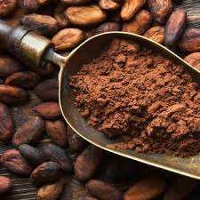 SUMINISTRO SUPERIOR CACAO EN POLVO PURO DE ALTA CALIDAD DE VIET NAM Sra. Holiday - Product Image 5