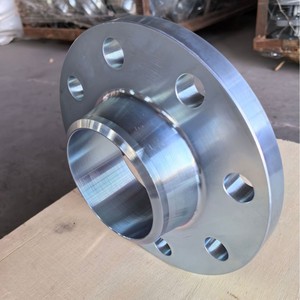 Brida de Acero Inoxidable 304 316L con Cuello de Soldadura RF, 6 Orificios para Tornillos, 74mm, para la Industria Química - Product Image 1